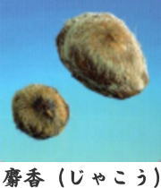 liWREj