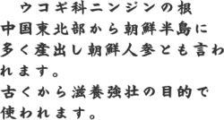 ERMȂ̃jW̍@k璩NɑYoNlQƂĂ܂B