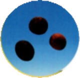 牛黄 画像